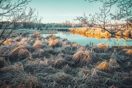 Hoarfrost covered the river bank at dawn.の写真素材
