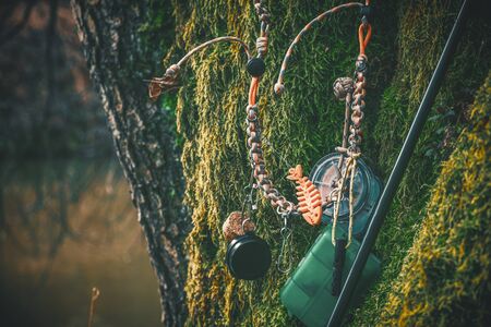 Fishing equipment on a background of moss. Tenkara fishing.の写真素材