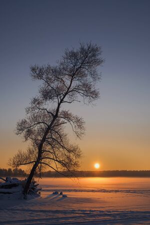 Sunset on a frozen lake. Winter landscape.の写真素材