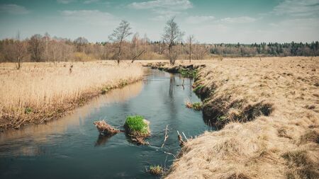 A small river flows in the valley.の写真素材