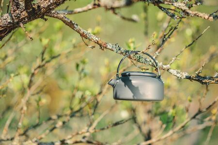 Kettle hanging on a branch.の写真素材
