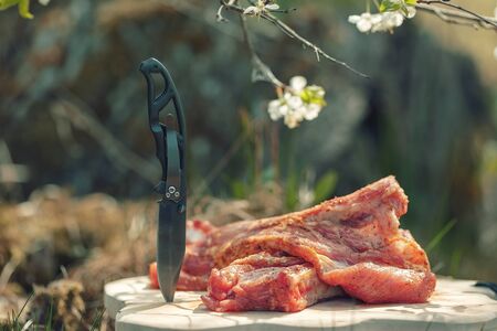 Sliced meat and a knife on a cutting board.の写真素材