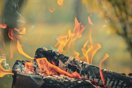 Flames over the log in the grill.の写真素材