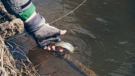 Angler releases a small trout. Catch and release.の写真素材