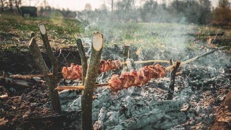 meat on the stick grilled in the fire. bushcraft conceptの写真素材