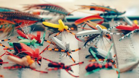 Dry flies for fly fishing.の写真素材