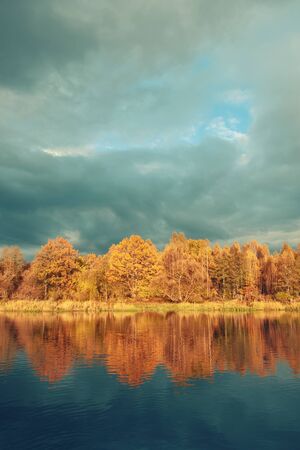 Picturesque autumn forest by the river.の写真素材