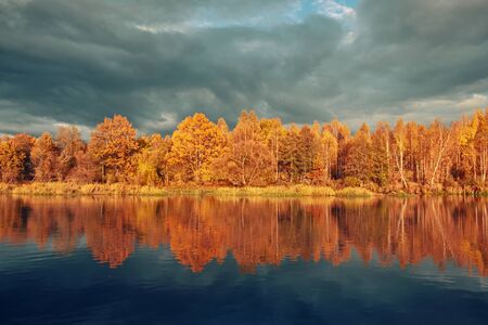 Picturesque autumn forest by the river.の写真素材