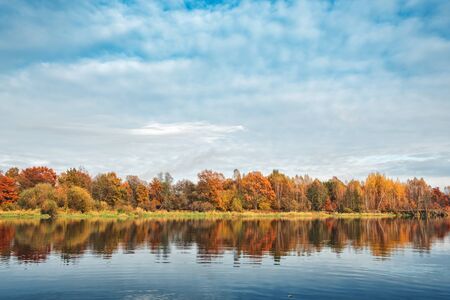 Picturesque autumn forest by the river.の写真素材