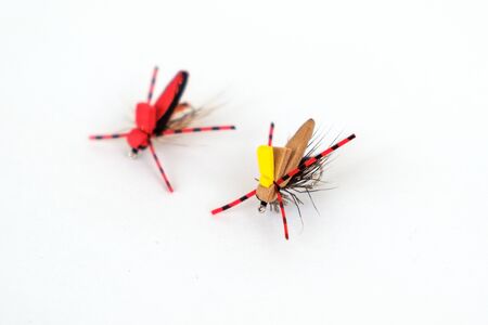 Dry fly fly fishing, closeup on white background.の写真素材