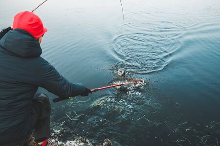 Sport fishing rainbow trout in the lake. Area fishing.の写真素材