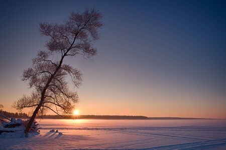 Sunset on a frozen forest lake.の写真素材