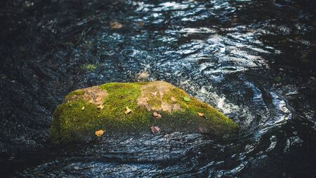 The stone is covered with moss, lies in a mountain stream.