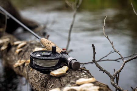fly tackle on woodの写真素材