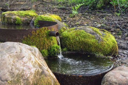 Small source among the moss-covered stones.の写真素材