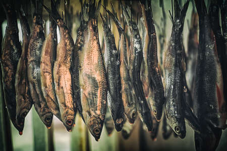 Dried fishes hanging for stock foodの写真素材