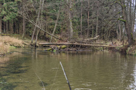 Little River Spring.の写真素材