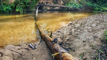 The picturesque snag which has a fly rod. Nice summer day on a fishing trip.の写真素材