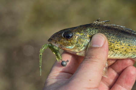Fishing. Happy angler with fish.