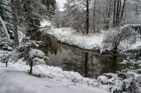 Small river in a snowy winter forestの写真素材
