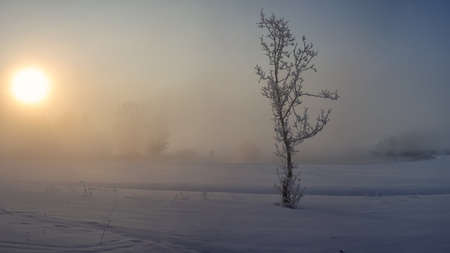 Winter misty sunrise on the river. Stitched panoramaの写真素材