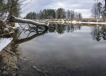 Tree fallen into the water. Surface of the autumn river. Stitched panorama