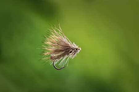 Flies for fly fishingの写真素材