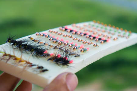 Flies for fly fishingの写真素材