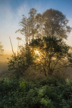 Beautiful misty dawn at the small river.の写真素材