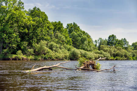 Spring river flowing in a valley.の写真素材