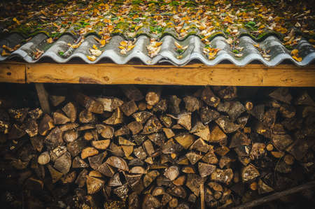 Harvested for winter firewood on the farm.の写真素材