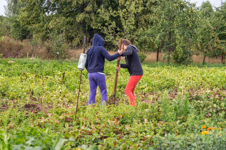 Children work on a farm.の写真素材