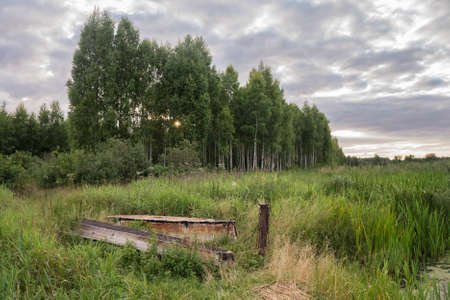 Old boats on the grassy shoreの写真素材