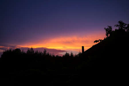 Silhouettes of trees at sunset.の写真素材