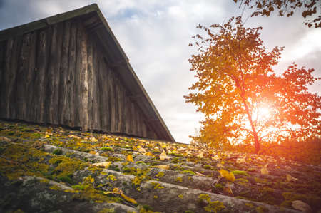 The roof is covered with autumn leaves.の写真素材