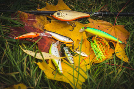 Belarus. Minsk region. Berezina river. October 10.2017 Fishing gear. Wobbler brand StrikePro.のeditorial素材