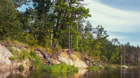 The Berezina River. Belarus.の写真素材