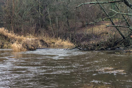 Little River Spring.の写真素材