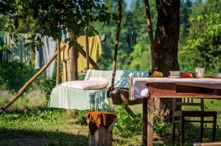 Country life. Swings in rural garden.