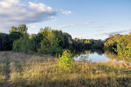 Autumn meadow. Bush.の写真素材