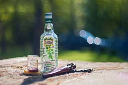 Minsk region, Belarus - September 25, 2010: A bottle of Belarusian vodka "Naliboki" and a sandwich, a picnic on a fishing trip.のeditorial素材