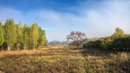 Autumn meadow.の写真素材