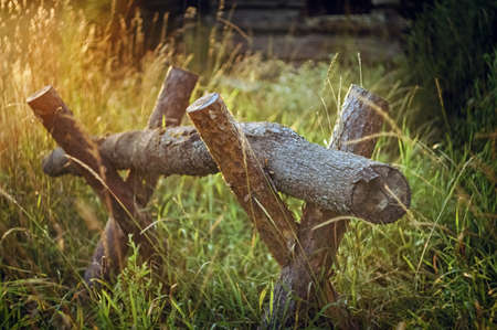 Sawing wood. Rural landscape on a background of green grass in the rays of the setting sun.の写真素材