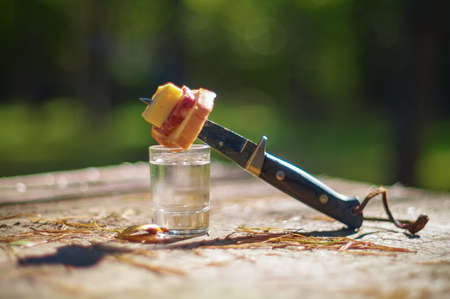 A glass of vodka and a sandwich on a picnicの写真素材