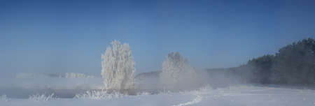 Snowy trees and grass with hoarfrost illuminated by the rising sun. Beautiful winter landscape. Foggy winter morning by the river. Stitched panoramaの写真素材