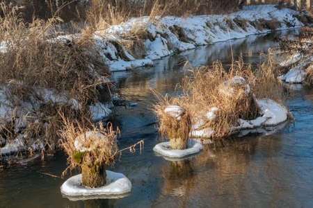 Stump grassy in a small creek.の写真素材