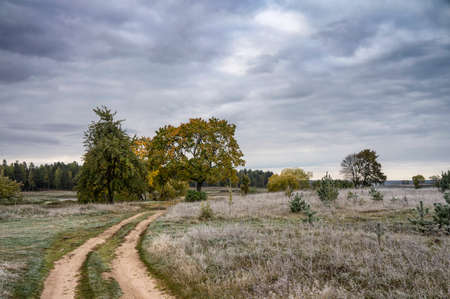 Autumn country roadの写真素材