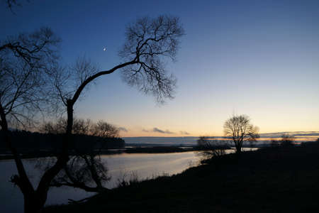 Silhouettes of trees over the lake. Evening.の写真素材