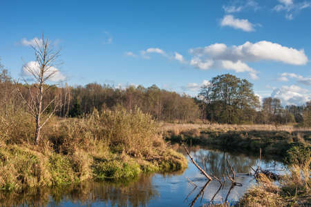 Small river in a forest valley.の写真素材
