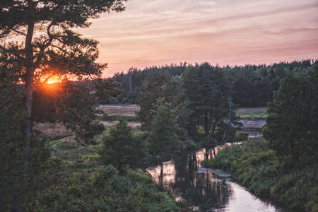 A beautiful autumn river flows in a forest valley.の写真素材